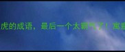 10个二字带虎的成语最后一个太霸气了寓意和用法全