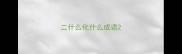 二什么化什么成语