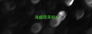 沫成语美好