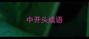 中开头成语