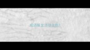 成语接龙活动主题