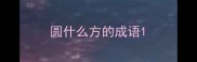 圆什么方的成语