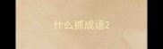 什么抓成语