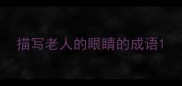 描写老人的眼睛的成语