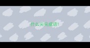 什么尖尖成语