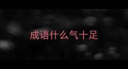 成语什么气十足