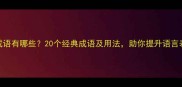 目字成语有哪些20个经典成语及用法助你提升语言表达力