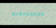 表示景色优美的成语