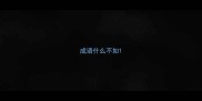 成语什么不如