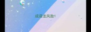 成语龙凤胎