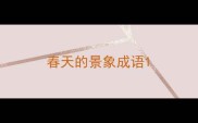 春天的景象成语