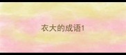 衣大的成语