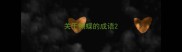 关于蝴蝶的成语