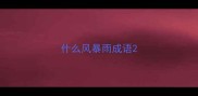 什么风暴雨成语