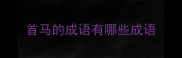 首马的成语有哪些成语