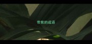 带紫的成语