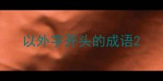 以外字开头的成语