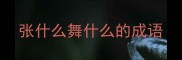 张什么舞什么的成语