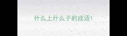什么上什么子的成语