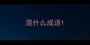混什么成语