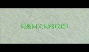 词是同义词的成语