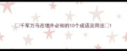 千军万马在墙外必知的10个成语及用法