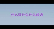 什么微什么什么成语