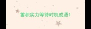 蓄积实力等待时机成语