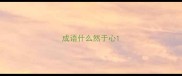 成语什么然于心