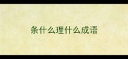 条什么理什么成语