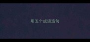 用五个成语造句