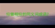 似曾相似的同义词成语