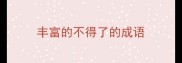 丰富的不得了的成语
