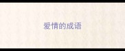 爱情的成语