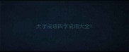 大字成语四字成语大全