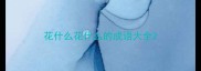 花什么花什么的成语大全