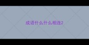成语什么什么相连