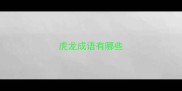 虎龙成语有哪些