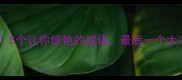 耳目一新5个让你惊艳的成语最后一个太冷门了