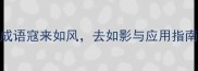 成语寇来如风去如影与应用指南