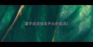 盛字成语接龙开头的成语