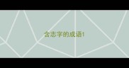 含志字的成语