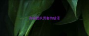 形容团队厉害的成语