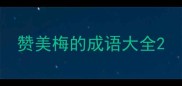 赞美梅的成语大全