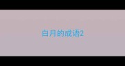 白月的成语