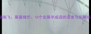 展翅高飞展露锋芒15个含展字成语的深度与实用场景
