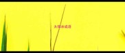 太阳冰成语