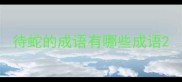 待蛇的成语有哪些成语