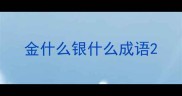 金什么银什么成语