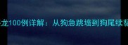 狗字开头的成语接龙100例详解从狗急跳墙到狗尾续貂的趣味学习指南